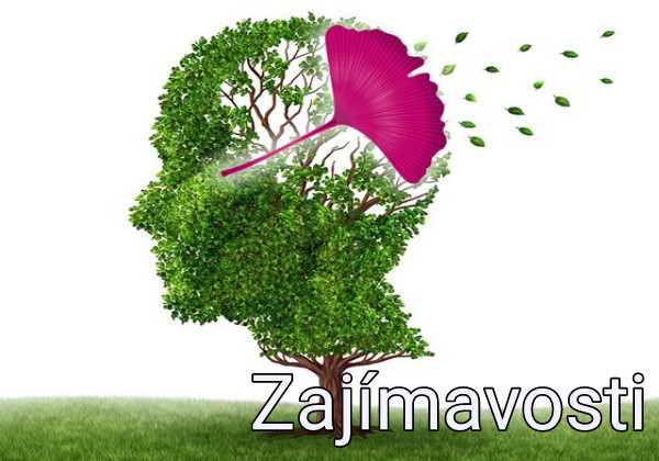 Zajimavosti